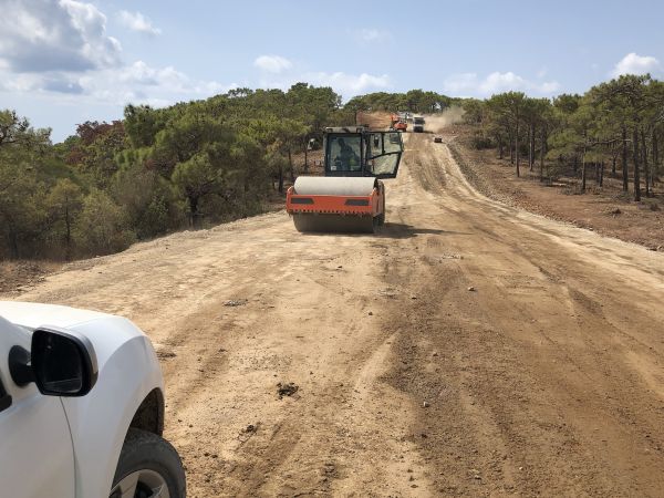 Cost of Driveway Grading in Sevierville