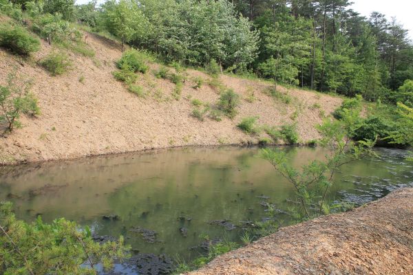 Cost of Pond Erosion Repair in Sevierville