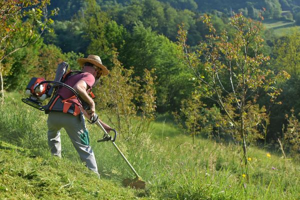 Cost of Slope Trimming in Sevierville